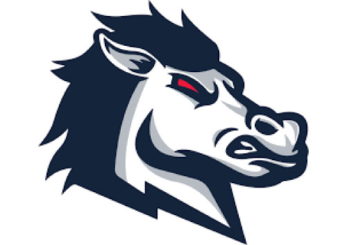 USC Aiken Athletics thumbnail