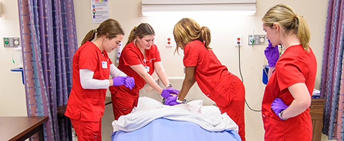 All4Aiken2026 School of Nursing